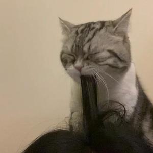 张柏芝性生生活性生交A级
